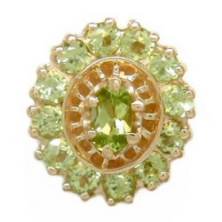 N364 14K RD/ PERIDOT SLIDE 